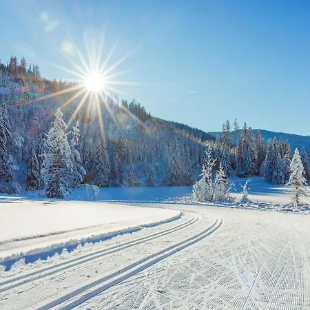 By Alps Murau
