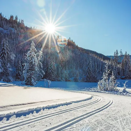 By Alps * Murau