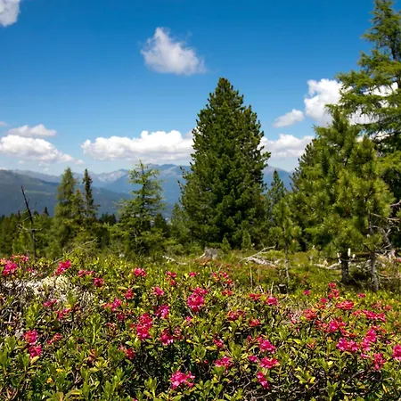 Alpesi faház By Alps Murau